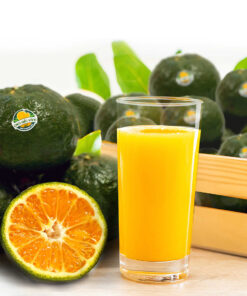 [MUA 2 TẶNG 1] Cam Sành Vĩnh Long Kiến Vàng - Cam Vắt Nước (7-8 quả/kg)